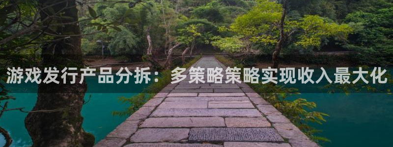 亿万28电子科技：游戏发行产品分拆：多策略策略实现收入最大化