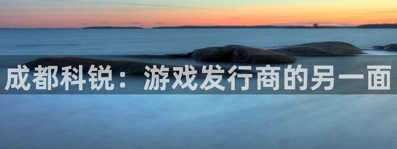 亿万28科技有限公司：成都科锐：游戏发行商的另一面