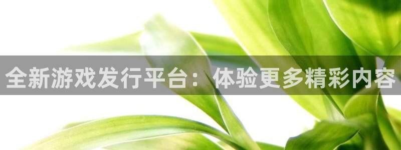 亿万28官网注册地址在哪里查询：全新游戏发行平台：体验更多精彩内容