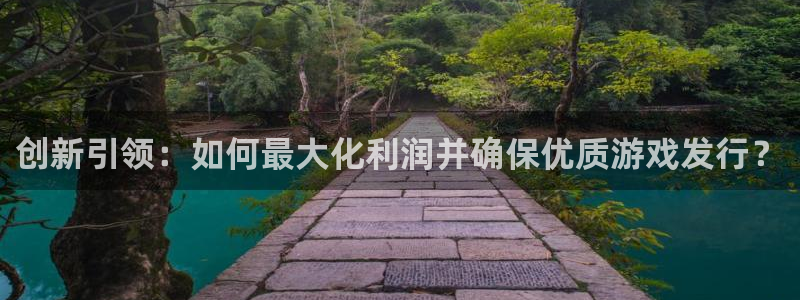 亿万28官网平台怎么样知乎：创新引领：如何最大化利润并确保优质游戏发行？
