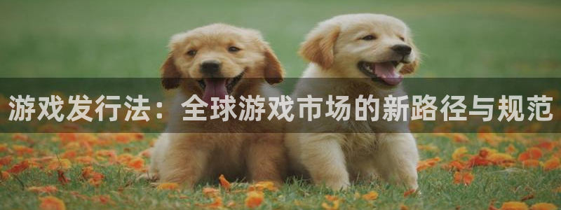亿万28子 到底怎么样：游戏发行法：全球游戏市场的新路径与规范