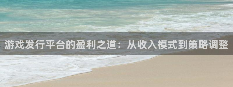 苏州亿万28网络科技有限公司：游戏发行平台的盈利之道：从收入模式到策略调整