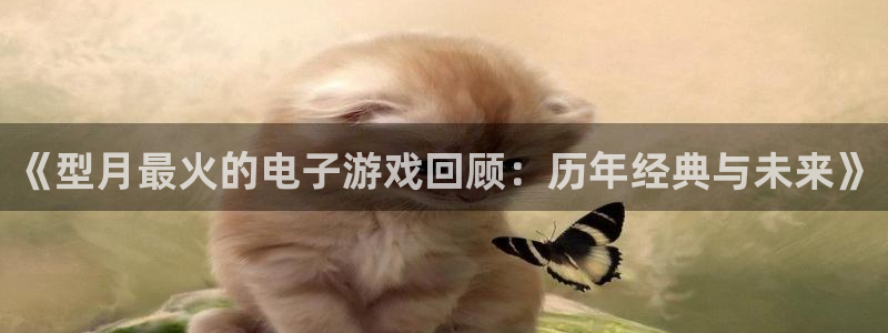 亿万28官网怎么注册账号：《型月最火的电子游戏回顾：历年经典与未来》