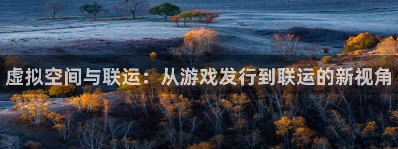 亿万28官网官网注册账号密码：虚拟空间与联运：从游戏发行到联运的新视角