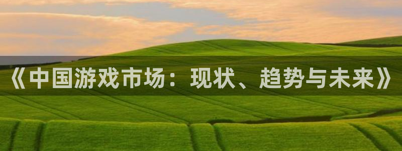 亿万28官网注册平台怎么注册的：《中国游戏市场：现状、趋势与未来》