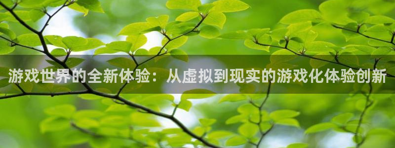 亿万28官网平台代理开号怎么开：游戏世界的全新体验：从虚拟到现实的游戏化体验创新