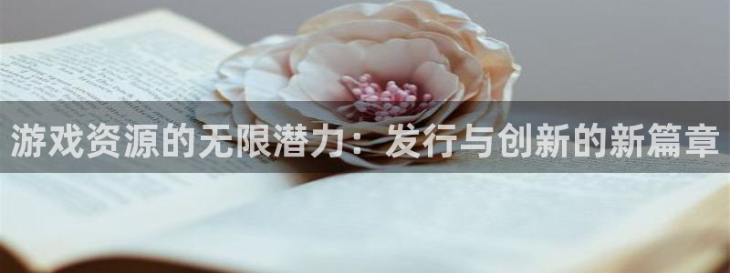 亿万28平台登录入口官网：游戏资源的无限潜力：发行与创新的新篇章