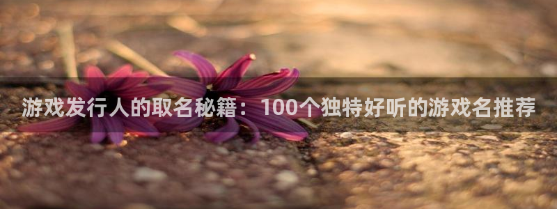亿万28子文化是干什么的：游戏发行人的取名秘籍：100个独特好听的游戏名推荐