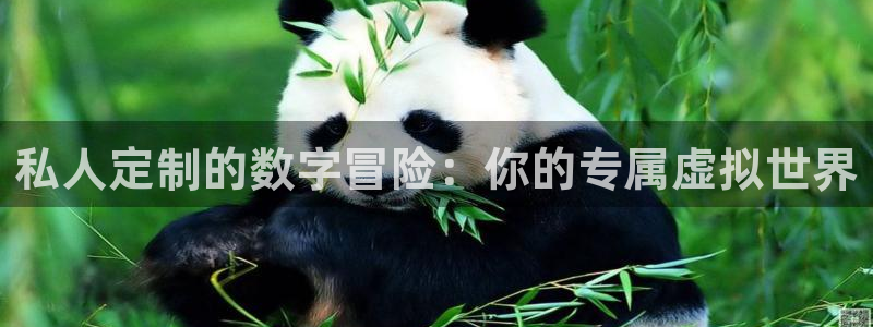 亿万28官网注册方法是什么意思：私人定制的数字冒险：你的专属虚拟世界