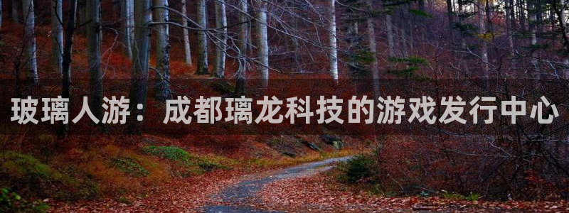 亿万28子财经图书：玻璃人游：成都璃龙科技的游戏发行中心