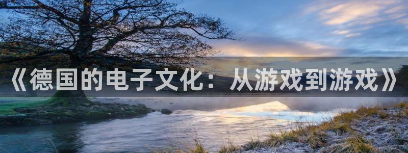 亿万28官网登录注册账号失败怎么办：《德国的电子文化：从游戏到游戏》