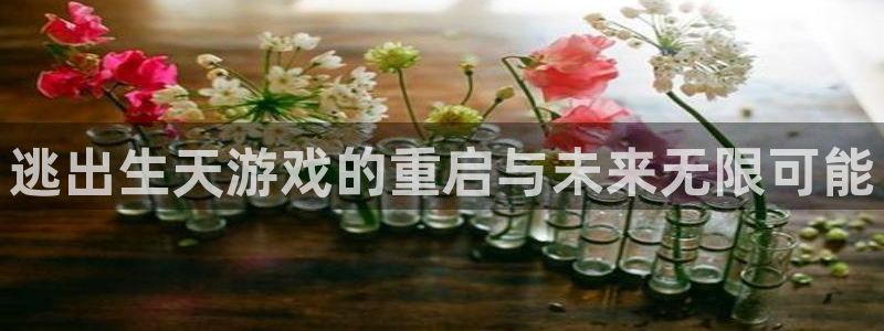 亿万28官网客服招聘：逃出生天游戏的重启与未来无限可能
