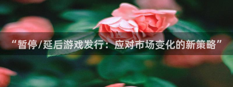 亿万28官网注册平台登录不上：“暂停/延后游戏发行：应对市场变化的新策略”
