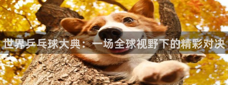 857看球直播：世界乒乓球大典：一场全球视野下的精彩对决