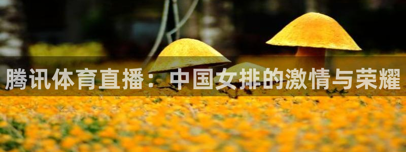 857体育赛事免费直播