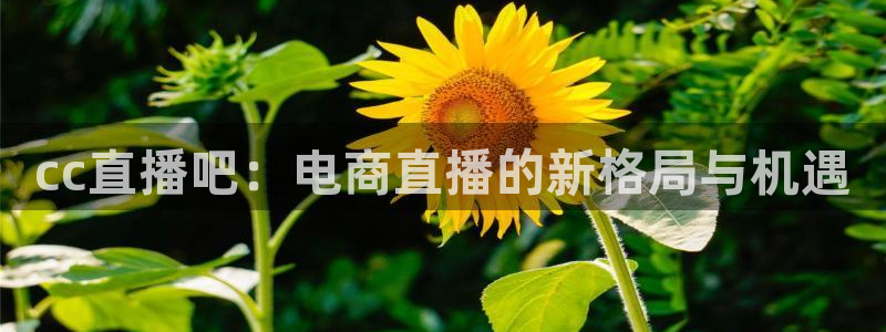 857足球直播免费看