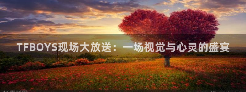 857直播nba在线直播：TFBOYS现场大放送：一场视觉与心灵的盛宴